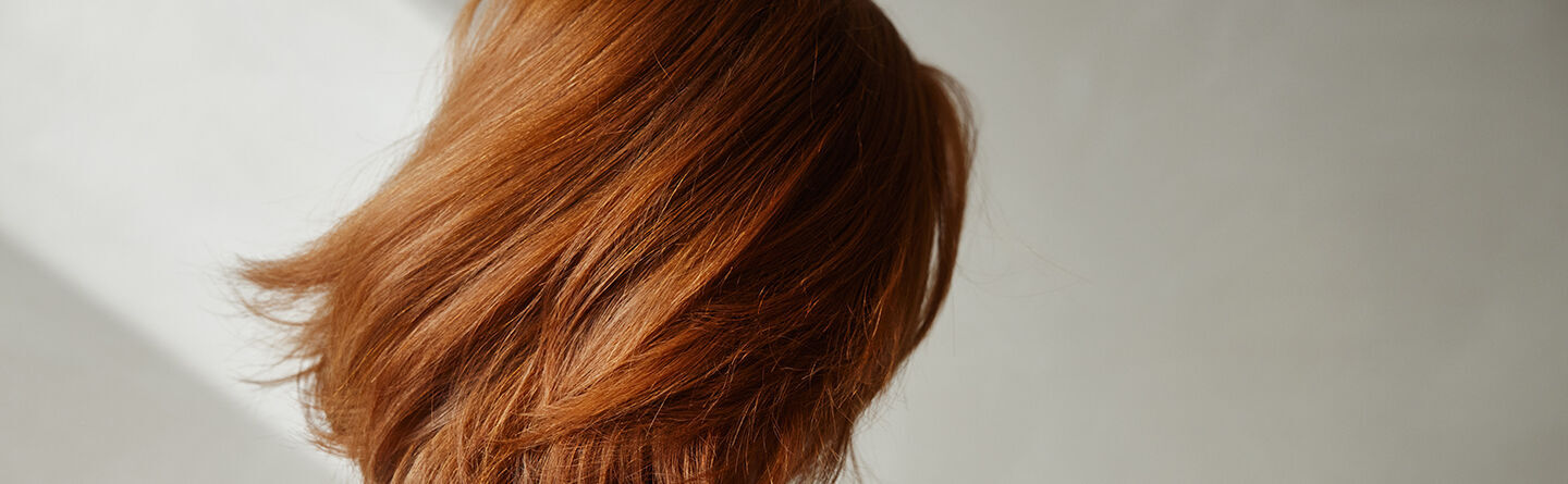 ส่วนบนสุดของเว็บไซต์